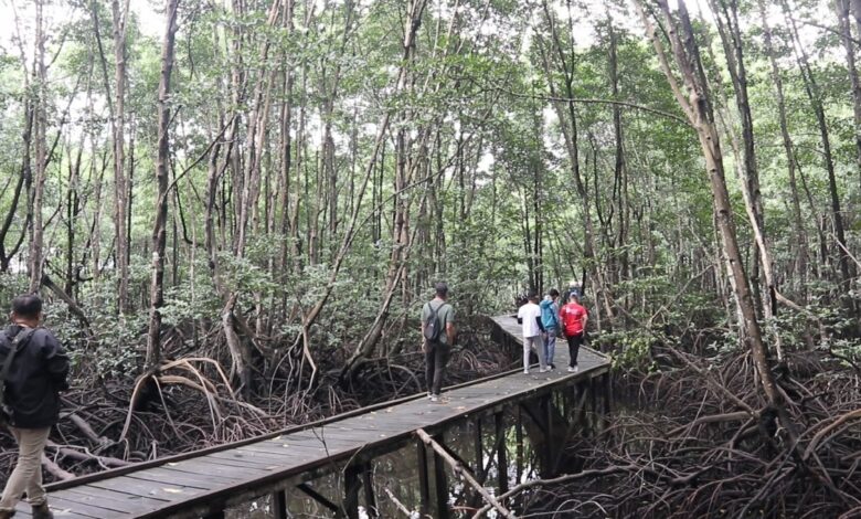 Kawasan Bontang Mangrove Park