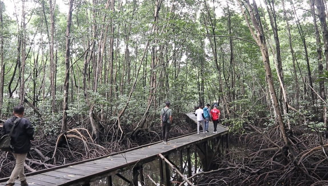 Kawasan Bontang Mangrove Park