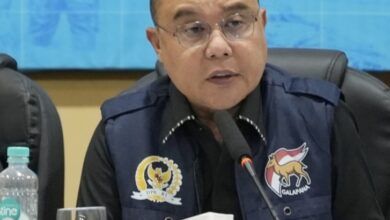 Wakil Ketua DPR RI, Sufmi Dasco Ahmad