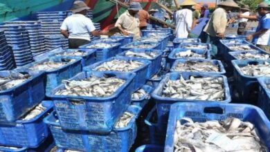 KKP menegaskan bahwa pihaknya terus memperkuat pengendalian dan pengawasan mutu hasil kelautan dan perikanan Indonesia secara menyeluruh.