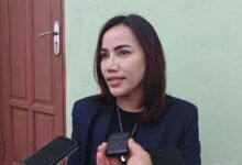 Wakil Ketua DPRD Samarinda, Celni Pita Sari