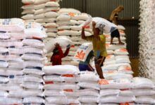 Stok beras pemerintah (CBP)