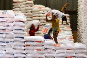 Stok beras pemerintah (CBP)