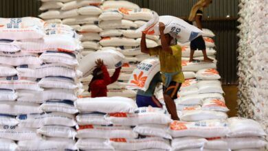 Stok beras pemerintah (CBP)