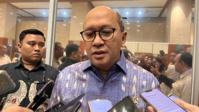 Chief Executive Officer (CEO) Danantara, Rosan Roeslani