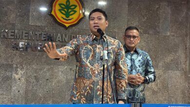 Wakil Menteri Pertanian (Wamentan), Sudaryono