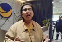 Anggota Komisi IX DPR RI dari Partai NasDem, Irma Suryani Chaniago