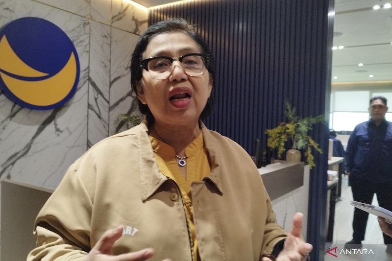 Anggota Komisi IX DPR RI dari Partai NasDem, Irma Suryani Chaniago