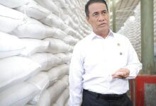 Menteri Pertanian (Mentan) Andi Amran Sulaiman