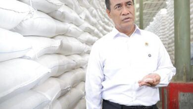 Menteri Pertanian (Mentan) Andi Amran Sulaiman