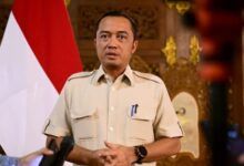 Ketua DPP Partai Gerindra, Prasetyo Hadi