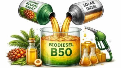 Biodiesel B50
