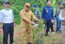 Wawali Samarinda Tanam Pohon dan Ajak Warga Jaga Kebersihan Kota