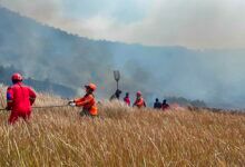 Kebakaran hutan dan lahan (karhutla) di kawasan Gunung Bromo, Jawa Timur