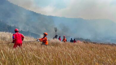 Kebakaran hutan dan lahan (karhutla) di kawasan Gunung Bromo, Jawa Timur