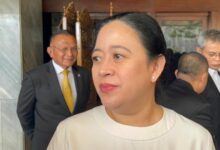 Ketua DPR RI, dan juga Ketua DPP PDIP, Puan Maharani 