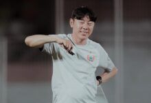 Pelatih Persija Jakarta, Shin Tae-yong