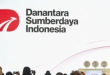 PT Danantara Sumberdaya Indonesia (DSI)