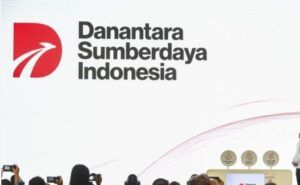 PT Danantara Sumberdaya Indonesia (DSI)