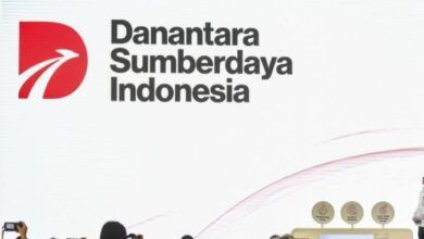 PT Danantara Sumberdaya Indonesia (DSI)