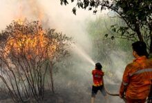 Kebakaran hutan dan lahan (karhutla) di Sumatera
