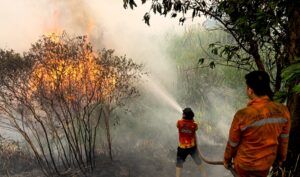 Kebakaran hutan dan lahan (karhutla) di Sumatera