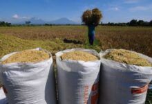 Pasokan Pangan Nasional Tetap Terjaga
