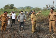 Wakil Wali Kota Samarinda Saefuddin Zuhri turun langsung mengecek kawasan rawan karhutla di Betapus dan Desa Pampang, Kecamatan Samarinda Utara