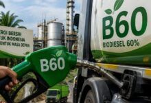 Biodiesel B60