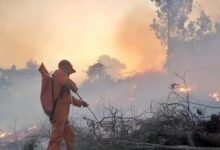Karhutla Kaltim Mengancam Kualitas Udara