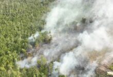 Kebakaran hutan dan lahan (karhutla) di Ibu Kota Nusantara (IKN) 