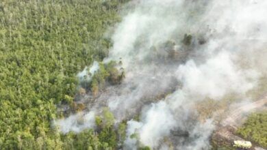 Kebakaran hutan dan lahan (karhutla) di Ibu Kota Nusantara (IKN) 