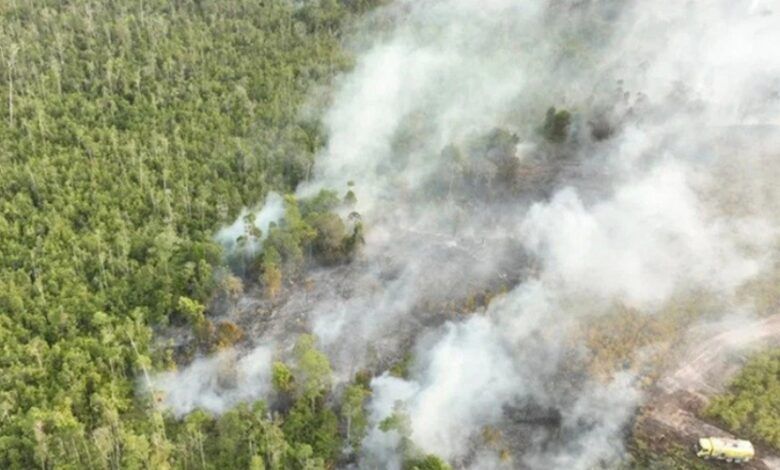 Kebakaran hutan dan lahan (karhutla) di Ibu Kota Nusantara (IKN)