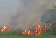 Kebakaran yang terjadi di area persawahan Betapus, Samarinda Utara
