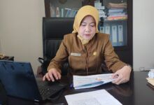 Kabid Pajak Daerah Bapenda Kaltim Lora Sari