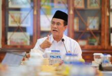 Menteri Pertanian Andi Amran Sulaiman