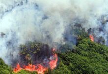 Ilustrasi kebakaran hutan dan lahan (karhutla) di Kalimantan