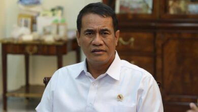 Menteri Pertanian sekaligus Kepala Badan Pangan Nasional (Bapanas) Andi Amran Sulaiman