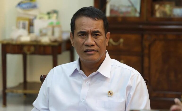 Menteri Pertanian sekaligus Kepala Badan Pangan Nasional (Bapanas) Andi Amran Sulaiman