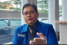 Wakil Ketua Umum PAN Viva Yoga Mauladi