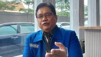 Wakil Ketua Umum PAN Viva Yoga Mauladi