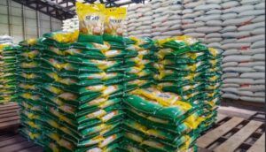 Perum Bulog akan pasok beras untuk Koperasi Desa/Kelurahan Merah Putih (KDKMP) 
