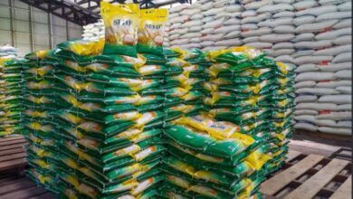 Perum Bulog akan pasok beras untuk Koperasi Desa/Kelurahan Merah Putih (KDKMP) 