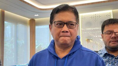 Wakil Ketua Umum PAN Viva Yoga