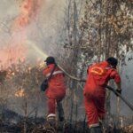 Kebakaran hutan dan lahan (karhutla)