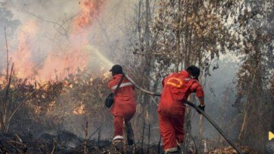 Kebakaran hutan dan lahan (karhutla)