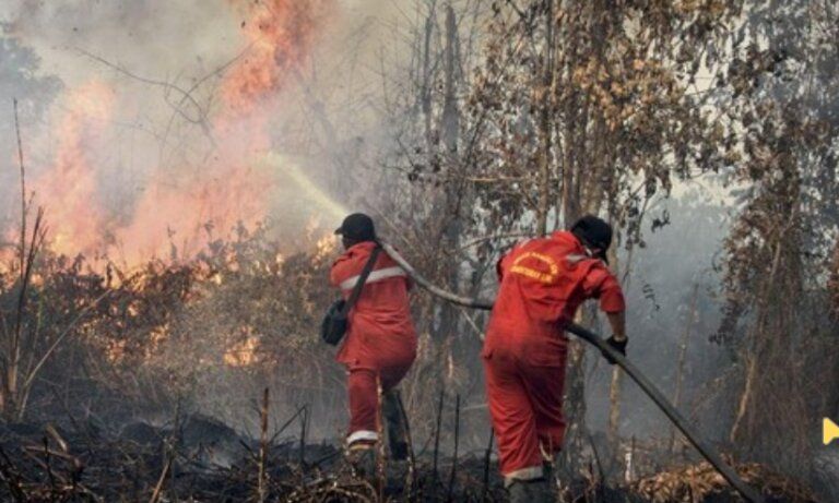 Kebakaran hutan dan lahan (karhutla)