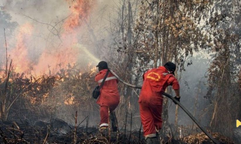 Kebakaran hutan dan lahan (karhutla)