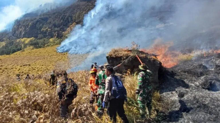 Kebakaran hutan dan lahan (karhutla) di kawasan Taman Nasional Bromo Tengger Semeru (TNBTS)