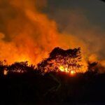 Kebakaran hutan dan lahan (karhutla) di Kalimantan Timur (Kaltim)